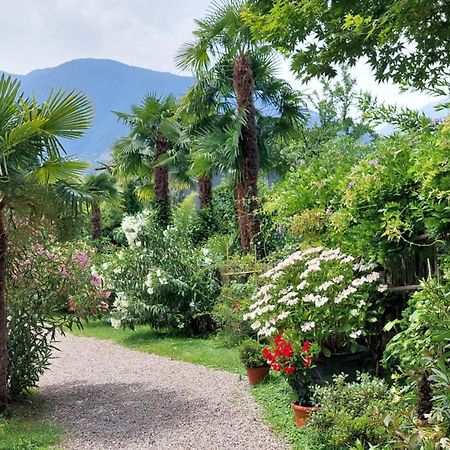 Nora S Home 5 - Panoramic Terrace & Bio Garden Merano Exteriör bild