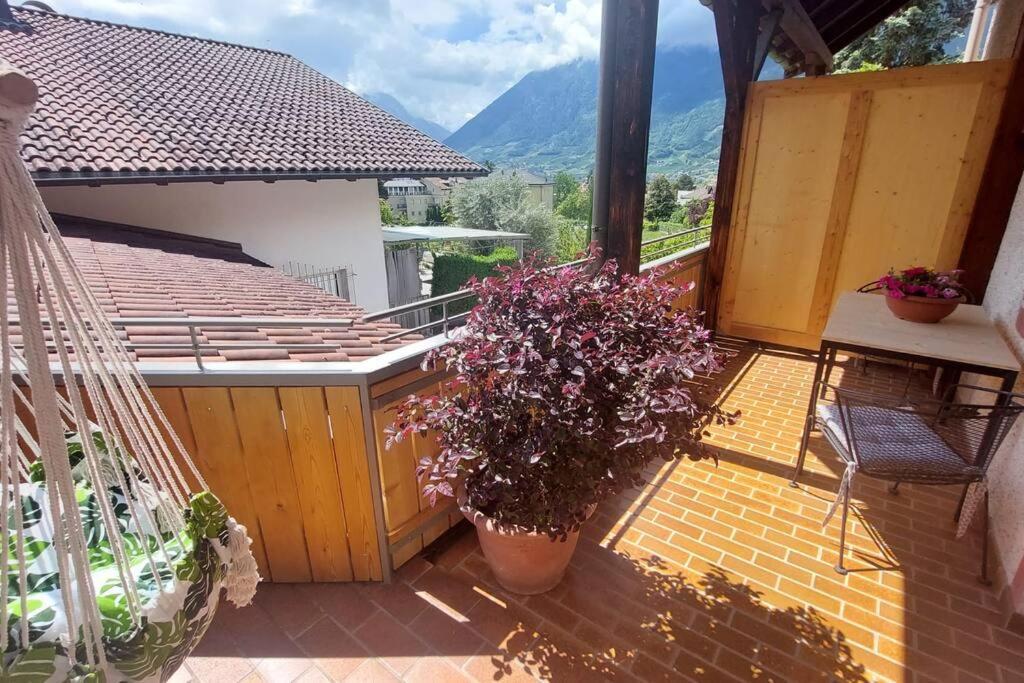 Nora S Home 5 - Panoramic Terrace & Bio Garden Merano Exteriör bild