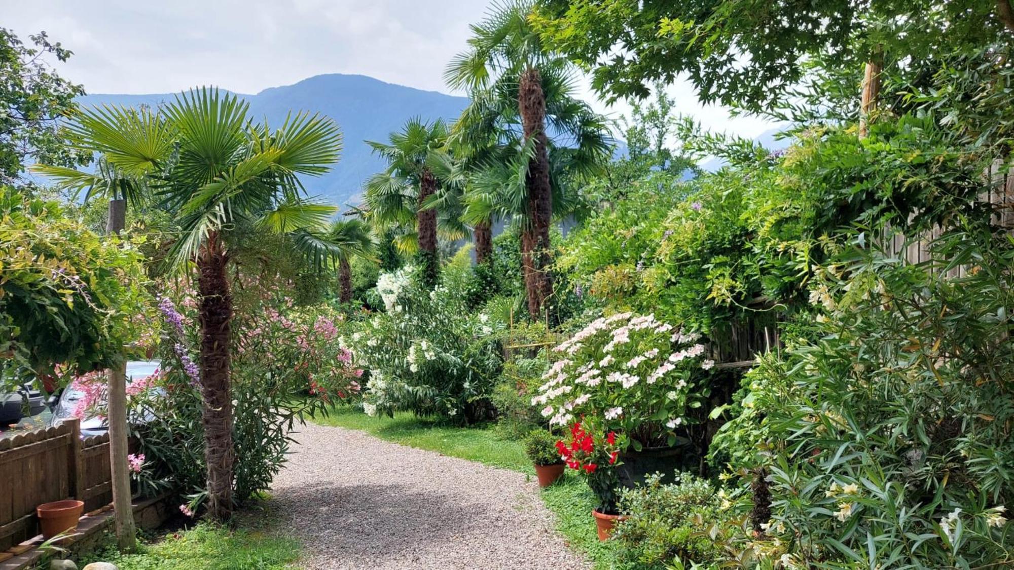 Nora S Home 5 - Panoramic Terrace & Bio Garden Merano Exteriör bild